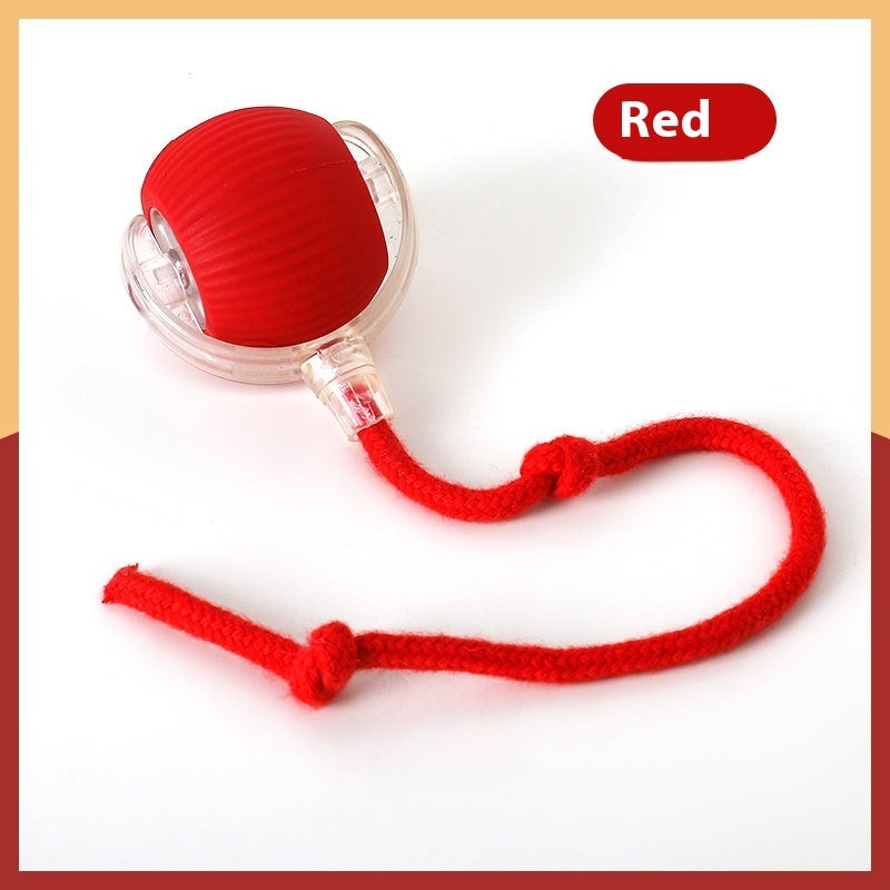 Interactive Cat Toy Ball Automatic Smart Pet Toy | Eonixor 