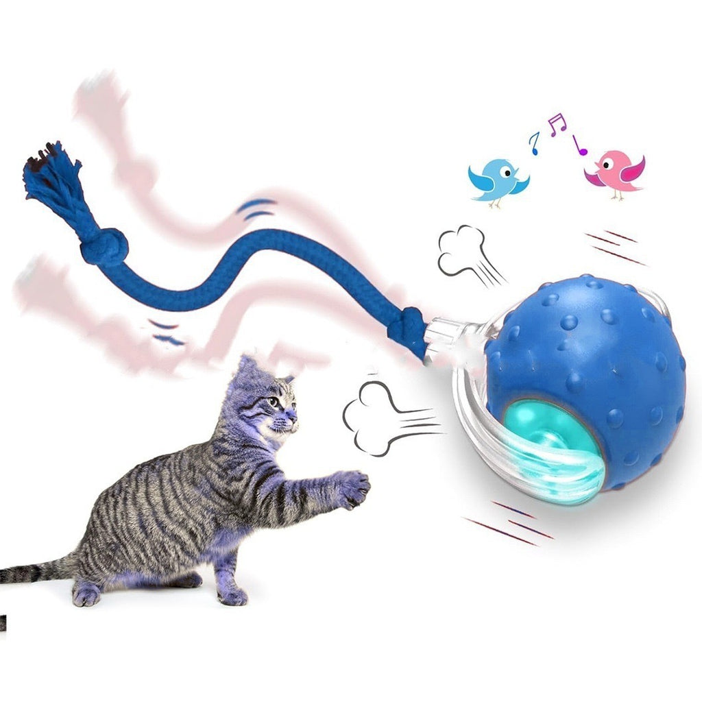 Interactive Cat Toy Ball Automatic Smart Pet Toy | Eonixor 
