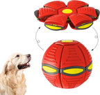 Flying Saucer Ball Toy for Dogs | Eonixor 
