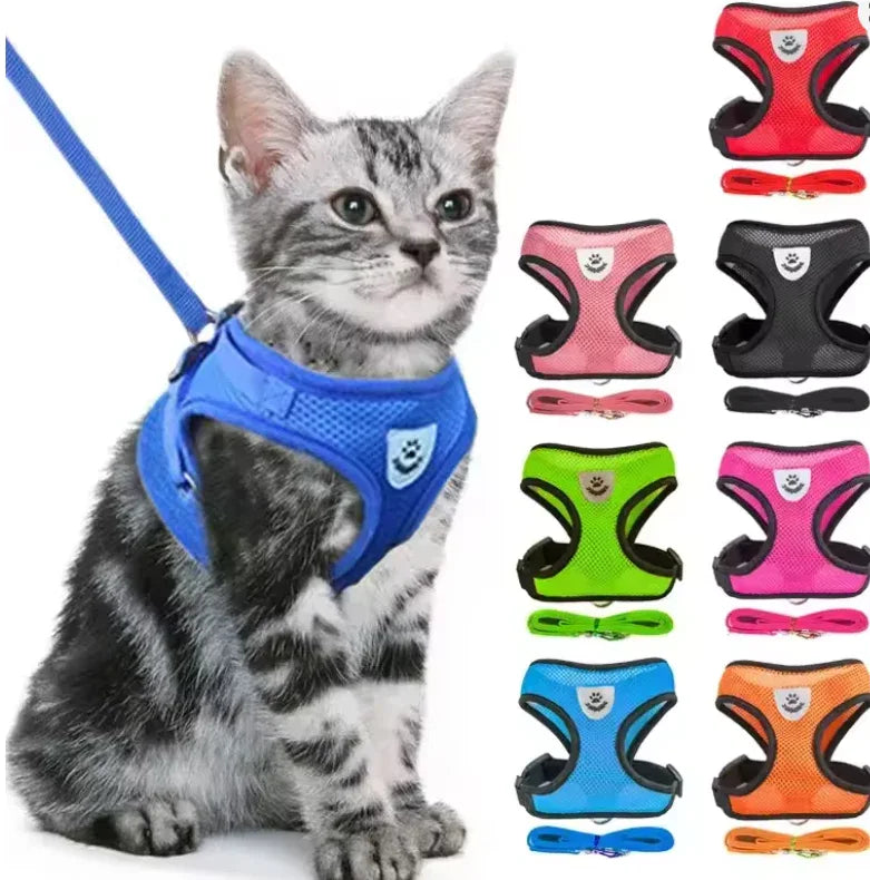 Pet_Car_Seat_Belt_Safety_Leash_Adjustable_Eonixor -
