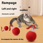 Interactive Cat Toy Ball Automatic Smart Pet Toy | Eonixor 