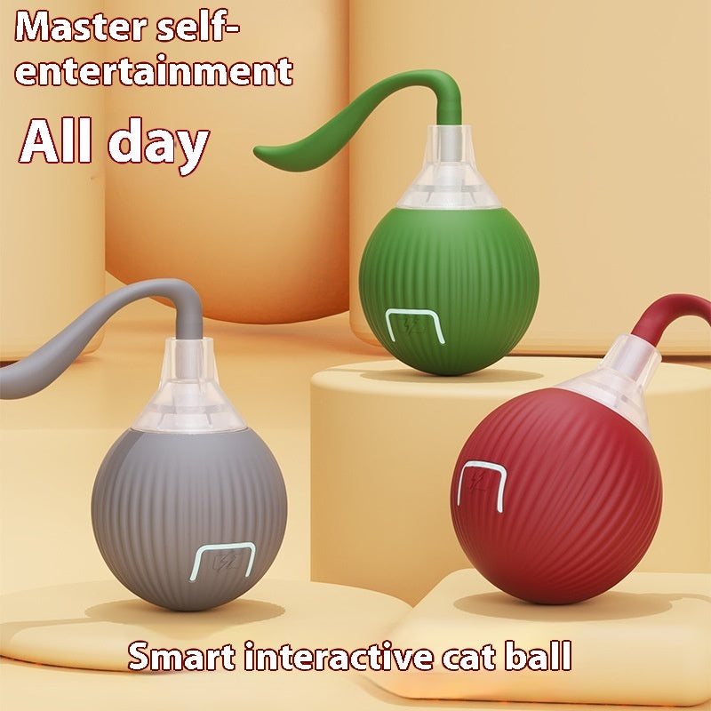 Interactive Cat Toy Ball Automatic Smart Pet Toy | Eonixor 